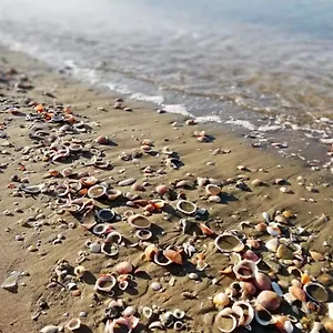 Azzurromare Flat Lido di Ostia